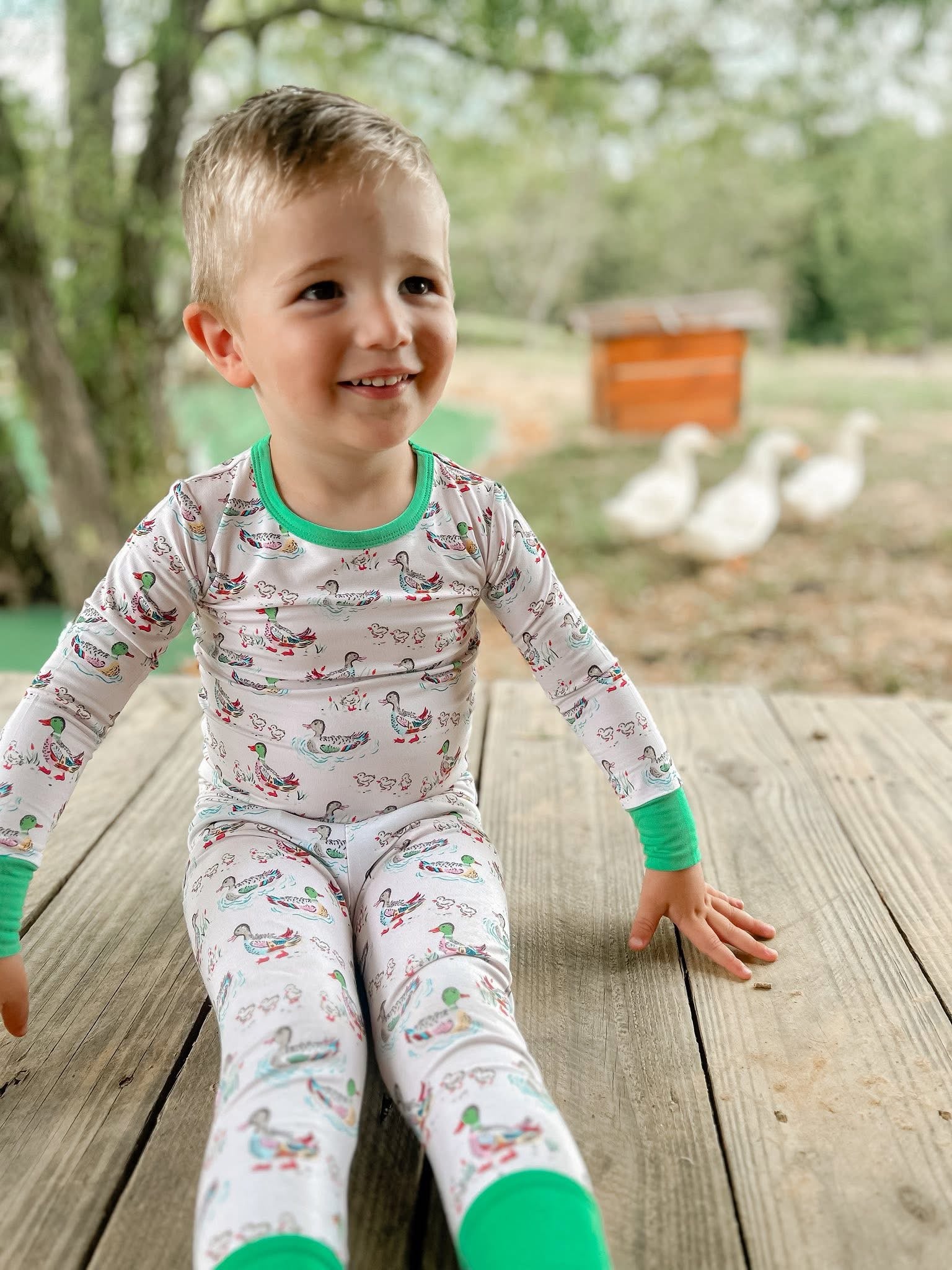 Watercolor Ducks Two Piece Set