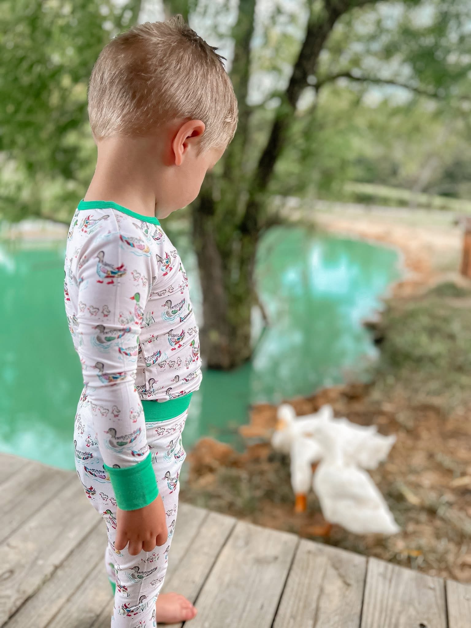 Watercolor Ducks Two Piece Set