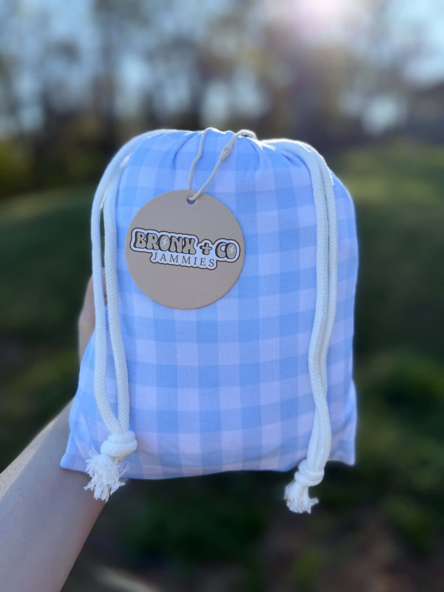 Blue Gingham Crib/Toddler Sheet