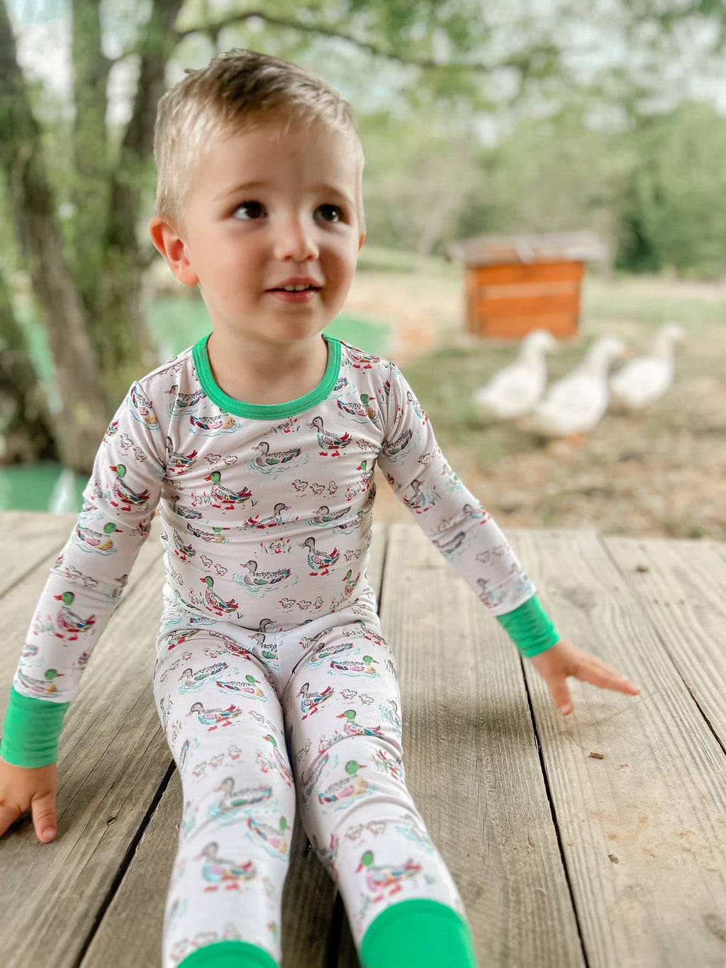 Watercolor Ducks Two Piece Set