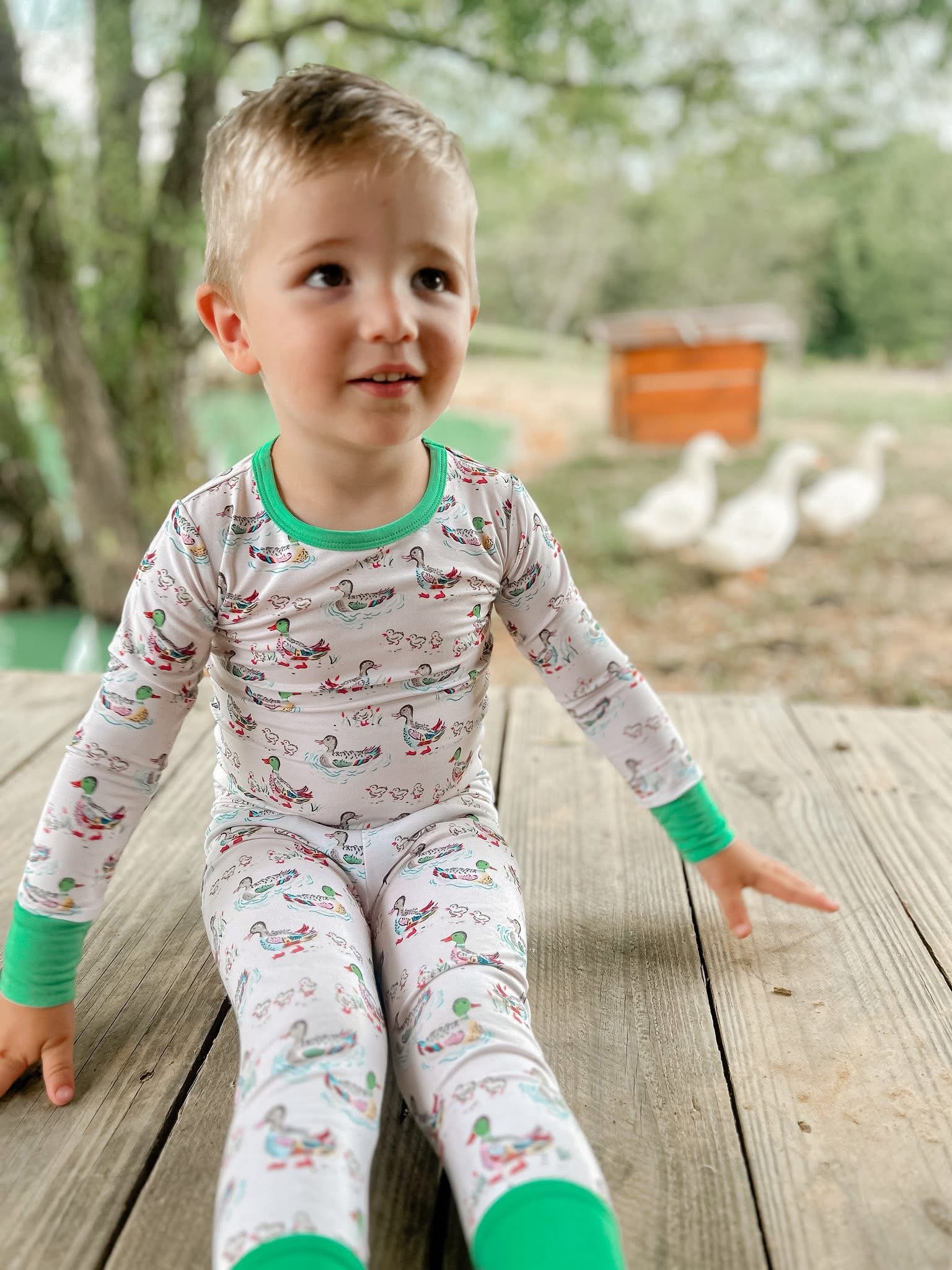 Watercolor Ducks Two Piece Set