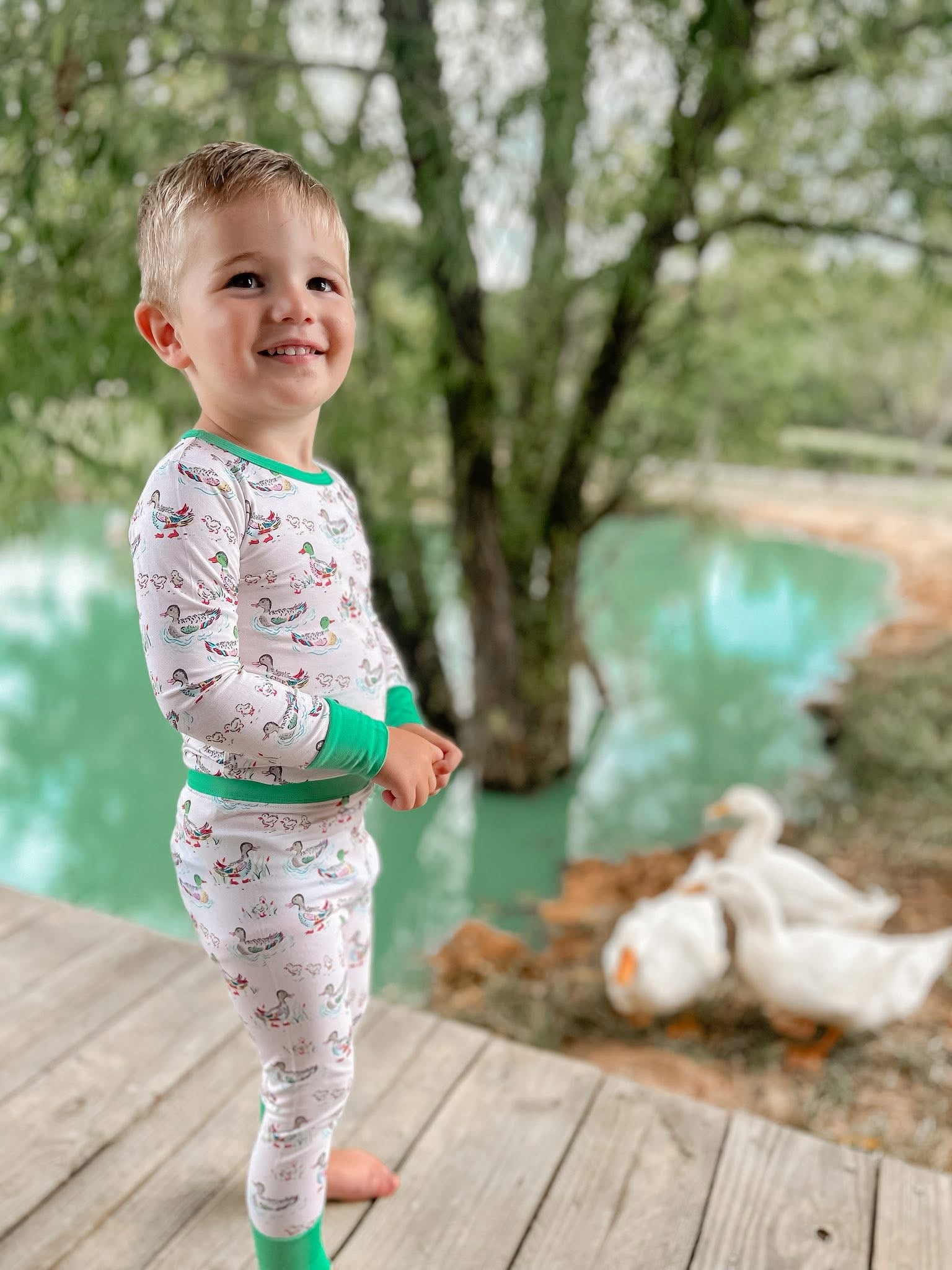 Watercolor Ducks Two Piece Set